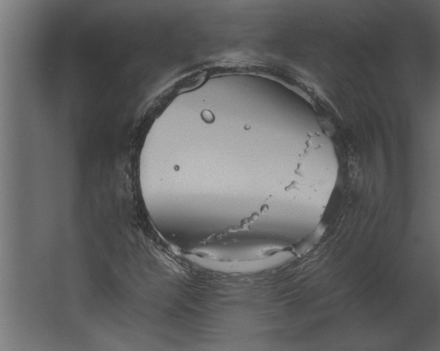 X0000067461304200604211530