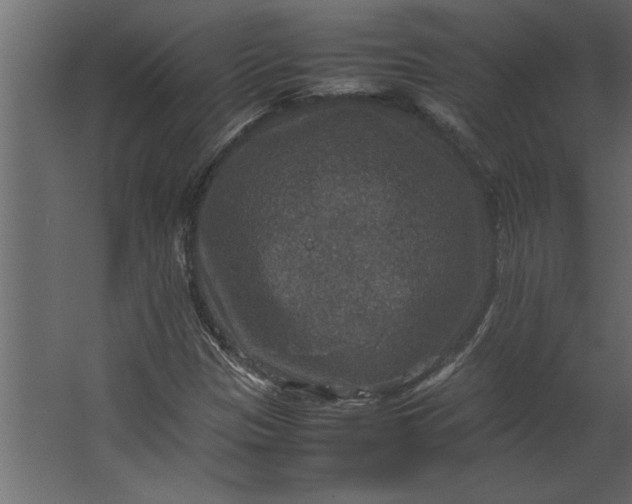 X0000067461305200604211530