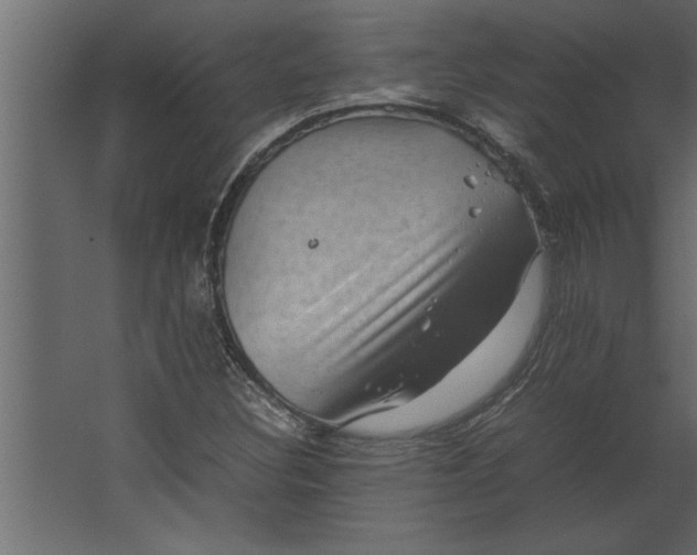 X0000067461308200604211530