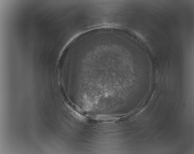 X0000067461310200604211530