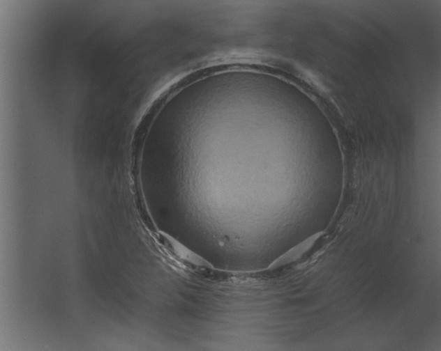 X0000067461312200604211531