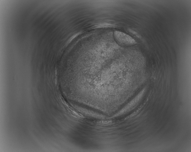 X0000067461313200604211531