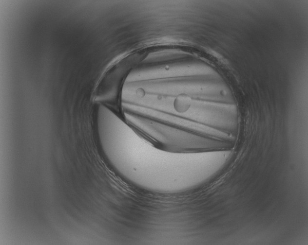 X0000067461314200604211531