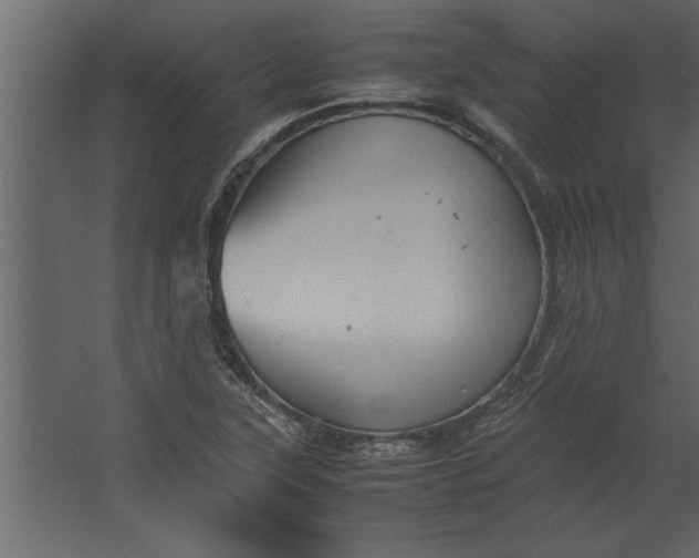 X0000067461315200604211531