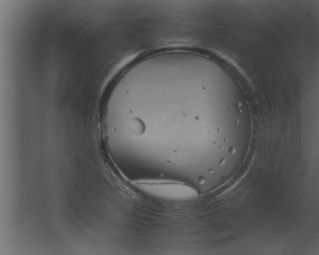 X0000067461317200604211531