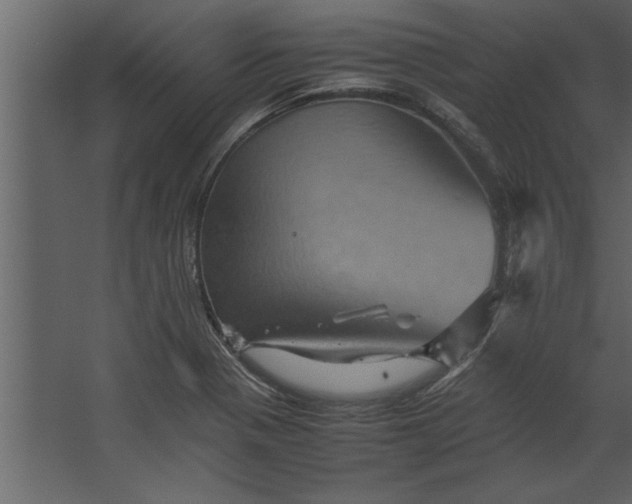 X0000067461321200604211531