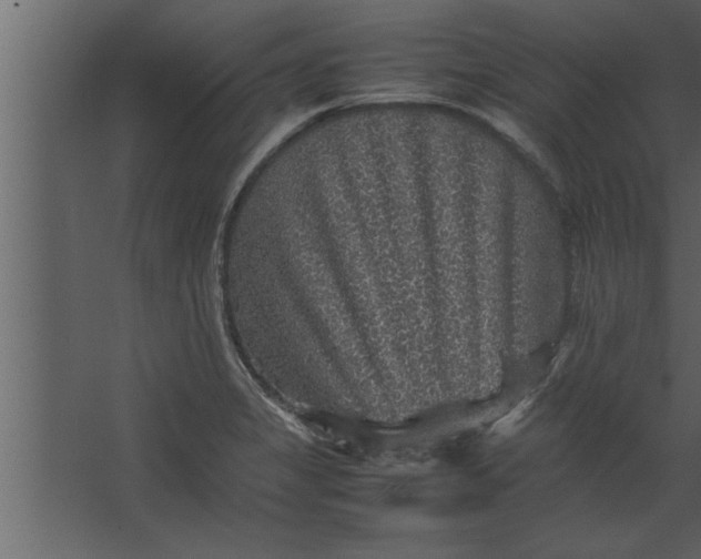 X0000067461325200604211531