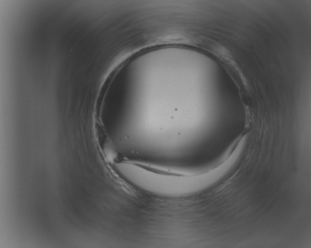 X0000067461328200604211531