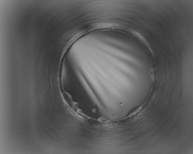 X0000067461330200604211531