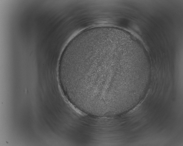 X0000067461333200604211531