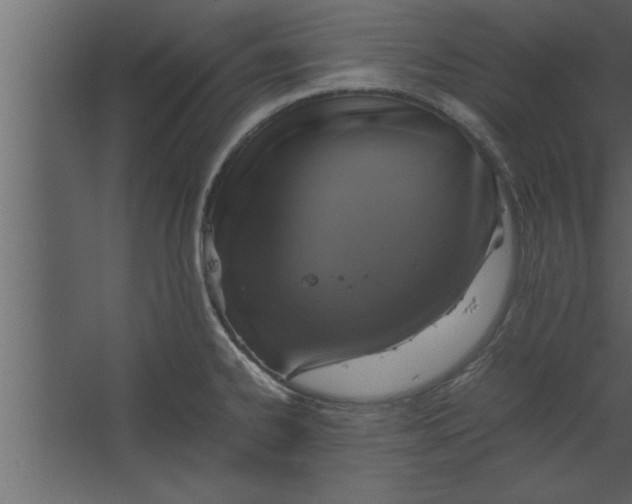 X0000067461334200604211531