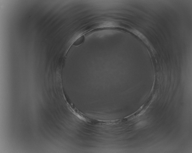 X0000067461337200604211531