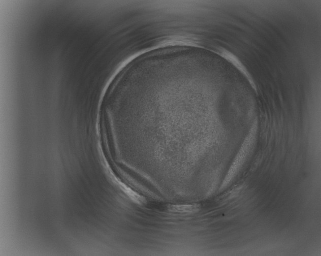 X0000067461339200604211531