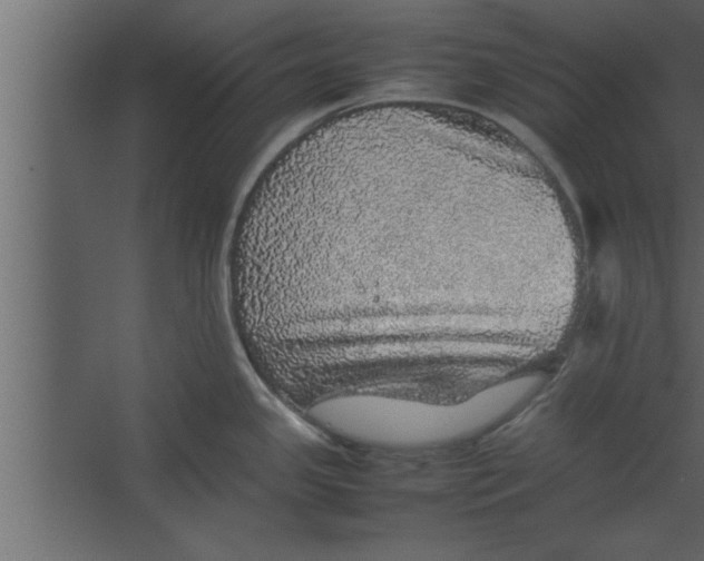 X0000067461341200604211531