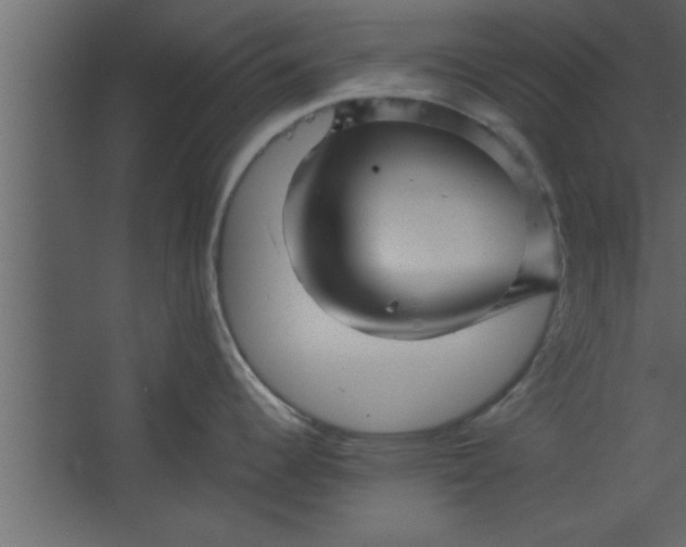 X0000067461344200604211531