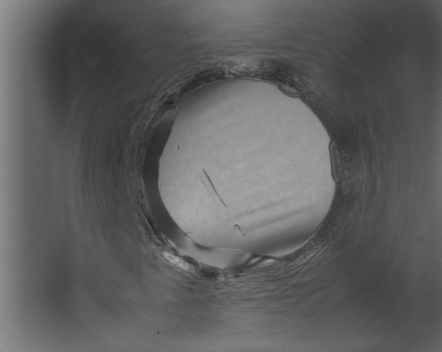 X0000067461345200604211530