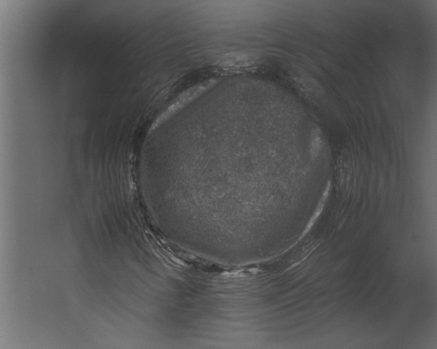 X0000067461346200604211530