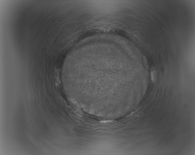 X0000067461347200604211530