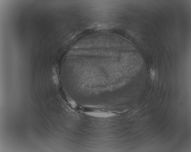 X0000067461348200604211530