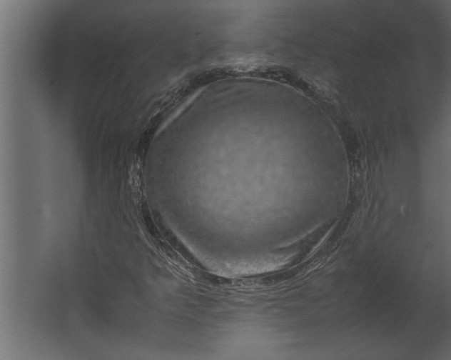 X0000067461349200604211530