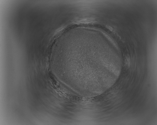 X0000067461350200604211530