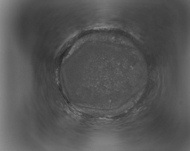 X0000067461351200604211530