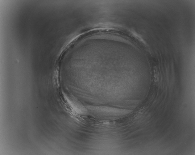 X0000067461352200604211530