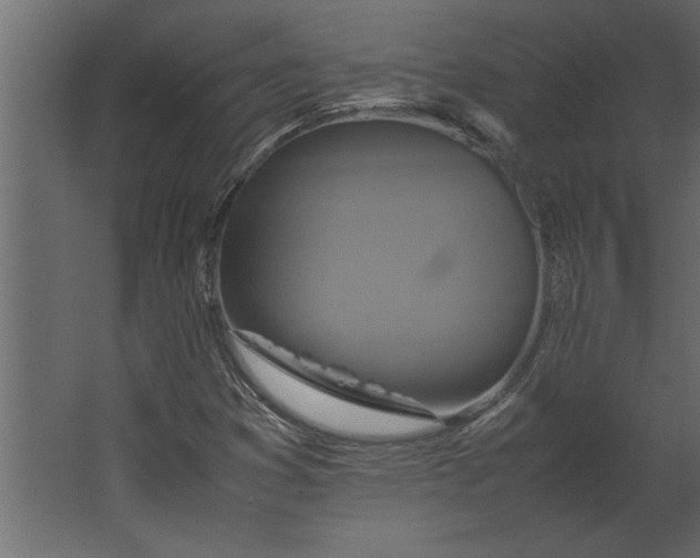 X0000067461353200604211530