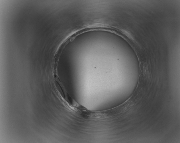 X0000067461356200604211530