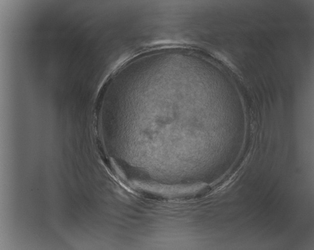 X0000067461357200604211530