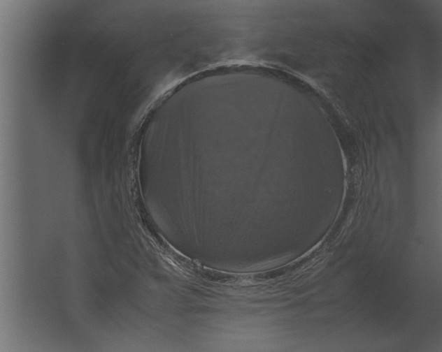 X0000067461359200604211530