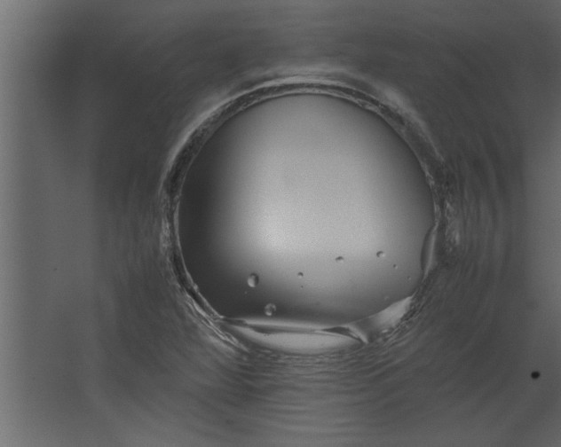 X0000067461360200604211530