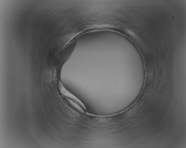 X0000067461361200604211530