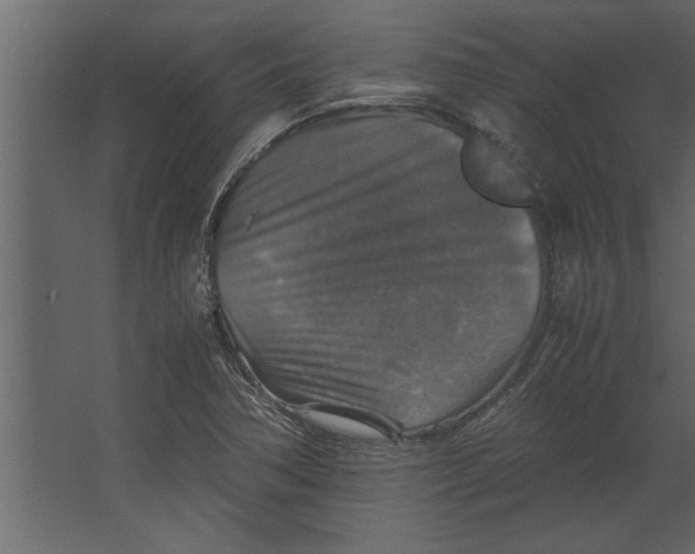 X0000067461362200604211530