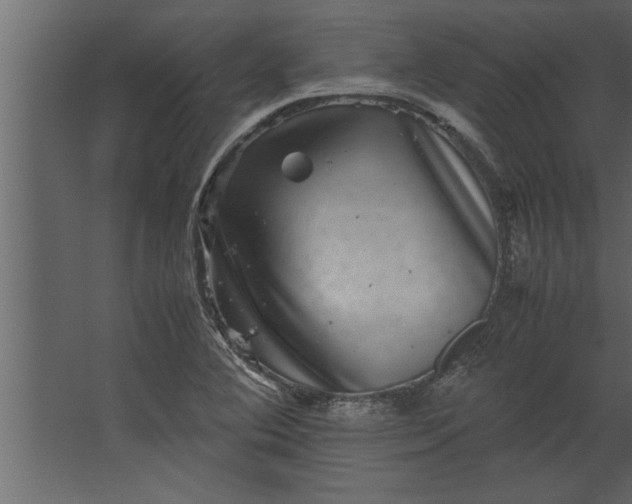 X0000067461364200604211530