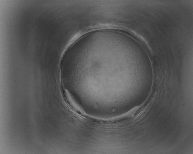 X0000067461365200604211530