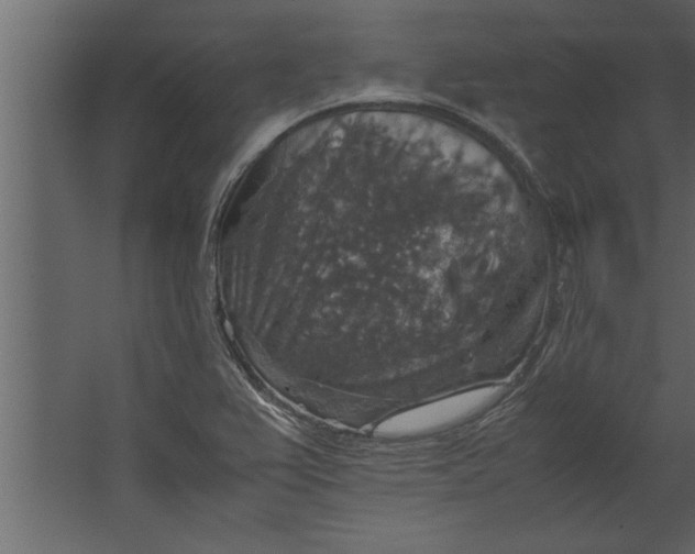 X0000067461367200604211530