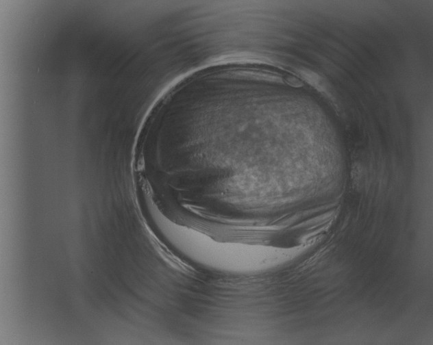 X0000067461372200604211530