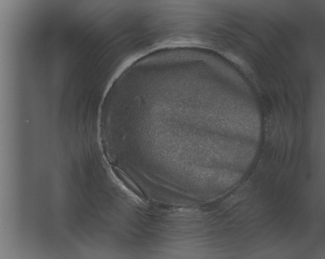 X0000067461374200604211530