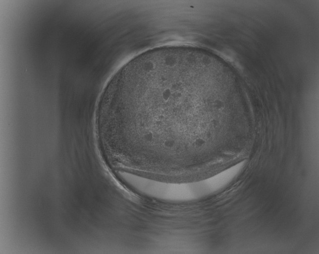 X0000067461375200604211530