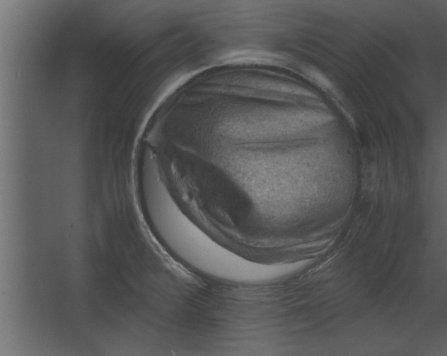 X0000067461376200604211530