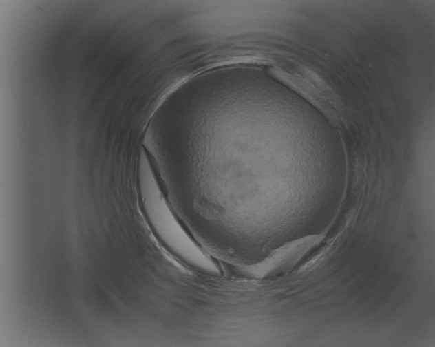 X0000067461377200604211530