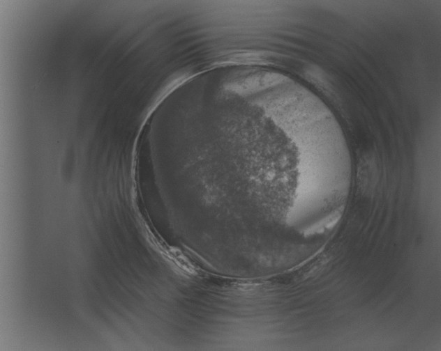 X0000067461378200604211530