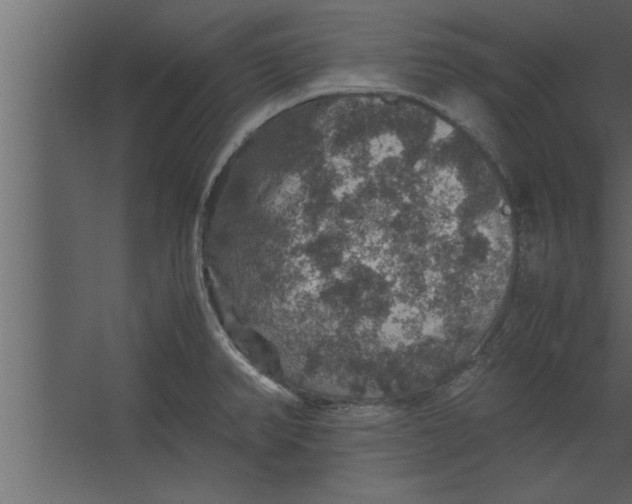 X0000067461382200604211530