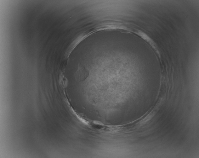 X0000067461385200604211530