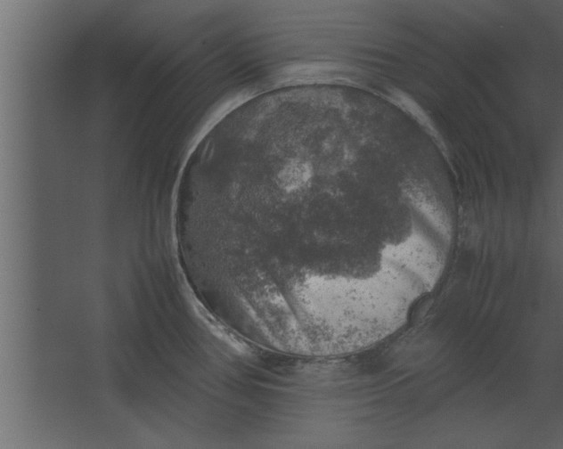 X0000067461386200604211530