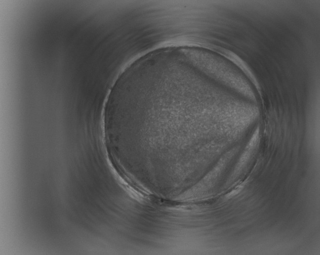 X0000067461388200604211530