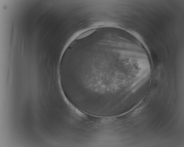 X0000067461389200604211529