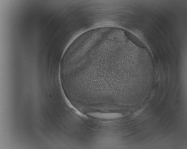 X0000067461390200604211529