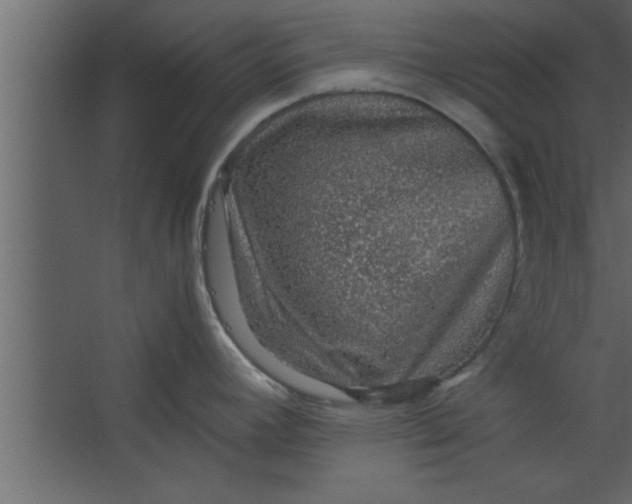 X0000067461392200604211529